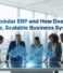 What Is Modular ERP and How Does It Enable Flexible, Scalable Business Systems?
