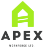 Apex Logo