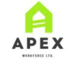 Apex Logoweb